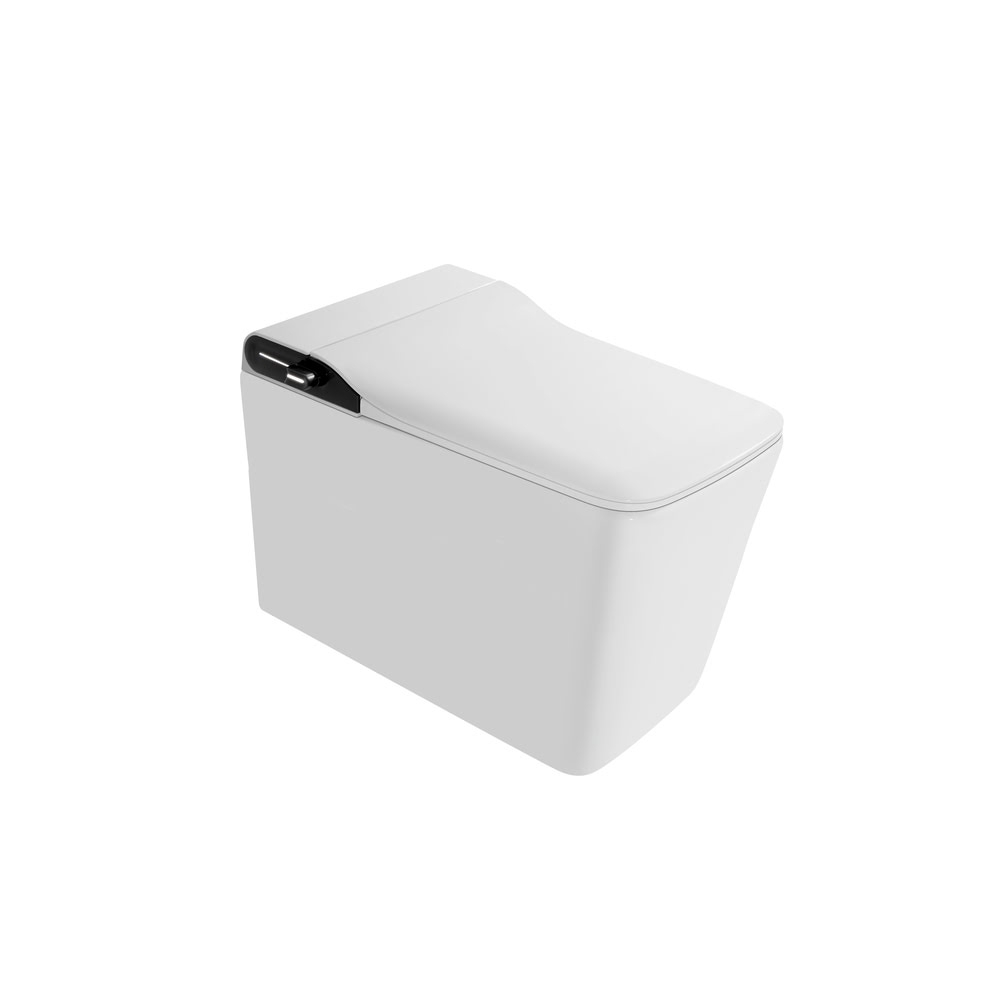 Умный унитаз-биде приставной Grossman Smart GR-PR-5701/Германия